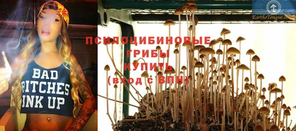 метадон Арсеньев