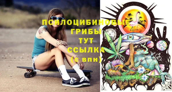 метадон Арсеньев