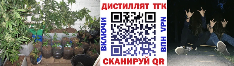 закладка  Усть-Джегута  ТГК гашишное масло 