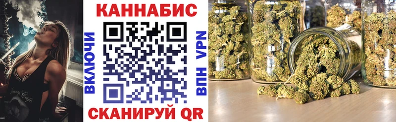 omg вход  Усть-Джегута  Конопля сатива  где продают  